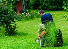 Kwikfynd Lawn Mowing
wigleyflat